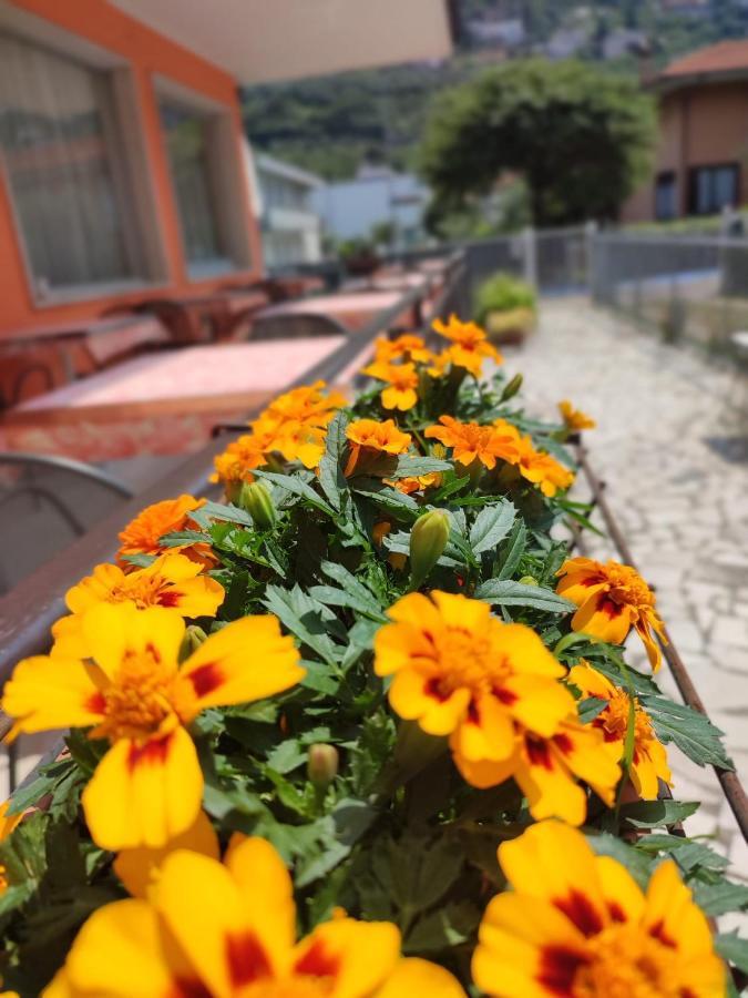 Albergo Villa Mimosa Torbole Sul Garda Eksteriør bilde