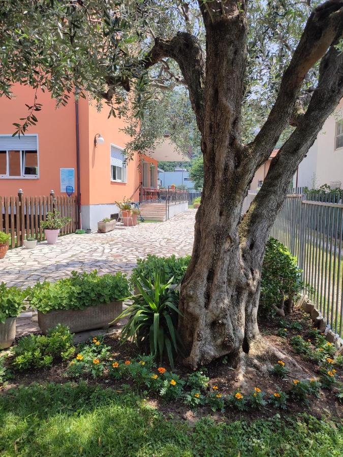 Albergo Villa Mimosa Torbole Sul Garda Eksteriør bilde